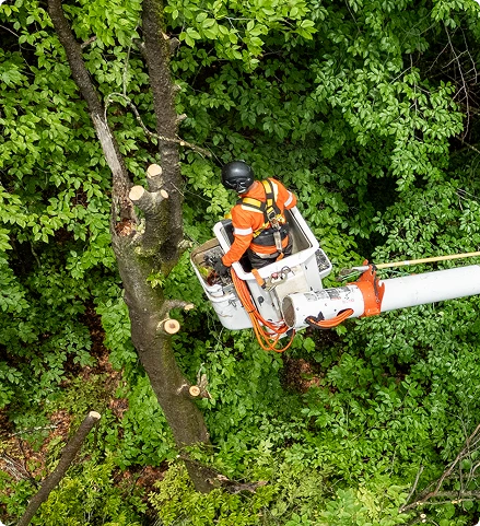 img_a-propos-de-nous