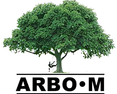 logoArboM