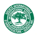 societe_internationale